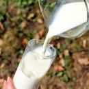 Порядка 8 млн рублей выделят забайкальским производителям молока – Александр Тюкавкин